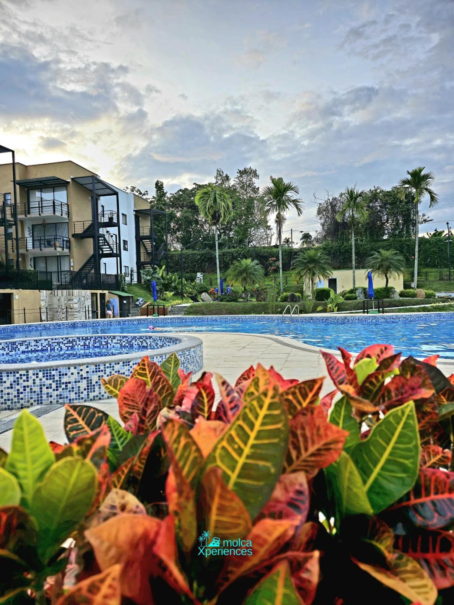 Apartamento Privado Vacacional A 5M Del Aeropuerto, 20 Minutos Del Parque Del Cafe Y Centro De Armenia Con 4 Piscinas, 3 Jacuzzi, Sauna By Molca Xperiences 3H Exterior foto